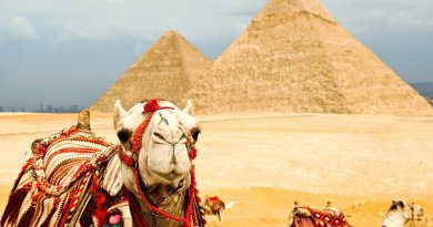 Єгипет оновлює візи для туристів із 2020 року. Туристичні візи в Єгипет